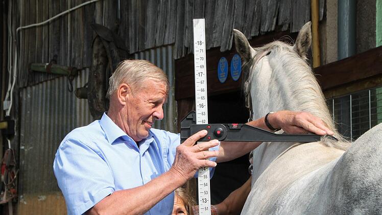 Auf den Zentimeter genau: Peter Schmid nimmt das Stockmaß. Ein Connemara-Pony sollte nicht größer als 148 Zentimeter sein. Foto: Ulrike Müller