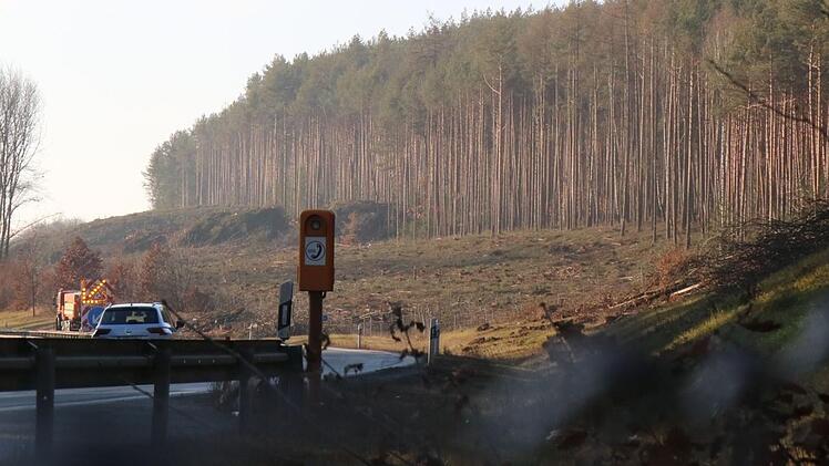 Die Fläche zwischen der Autobahn und dem im Hintergrund zu sehenden Wald wurde bereits gerodet.