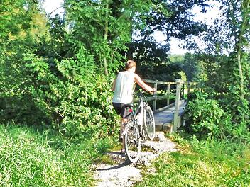 Beim Bau des Radwegel&uuml;ckenschlusses Kollertshof zum Badesee Burgwallbach m&uuml;sste auch der Brendsteg bei Kollertshof neu hergestellt werden. Die Gemeinde hofft nun, dass auch nach der ver&auml;nderten Planung des Weges die staatliche F&ouml;rderung m&ouml;glich bleibt.  Foto: Manfred Zirkelbach