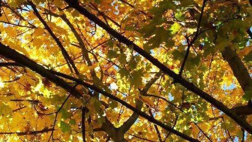 Userfoto: Christa & Horst Kittmann