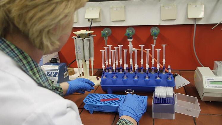 Im Labor des Max Rubner-Instituts wird die Fleisch-DNA für die Analyse gereinigt und vervielfältigt. Foto: Dagmar Besand