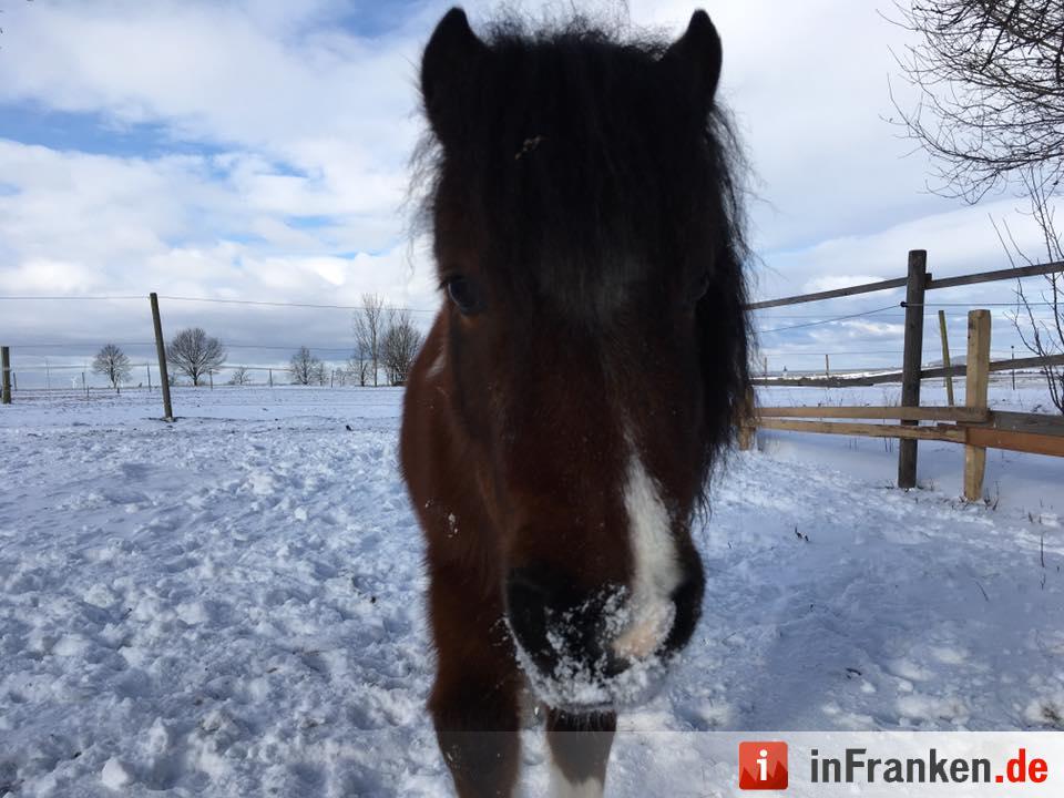Eis und Schnee in Franken - die schönsten Winterleserfotos