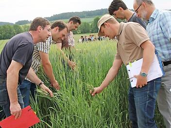 Die Landwirtschaftsexperten Norbert Götz, Stefan Karch, Jochen Then, Ludwig Geis, Peter Will und Sebastian Ries begutachten die Versuchsflächen für den Landbautag. Im Hintergrund erhalten Schüler des Berufsgrundschuljahres für Landwirtschaft Informationen zu den Schauversuchen. Foto: Heike Beudert