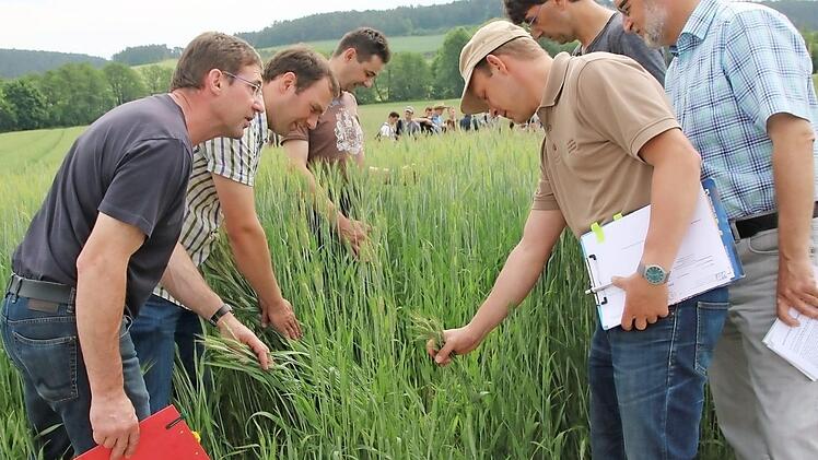 Die Landwirtschaftsexperten Norbert Götz, Stefan Karch, Jochen Then, Ludwig Geis, Peter Will und Sebastian Ries begutachten die Versuchsflächen für den Landbautag. Im Hintergrund erhalten Schüler des Berufsgrundschuljahres für Landwirtschaft Informationen zu den Schauversuchen. Foto: Heike Beudert