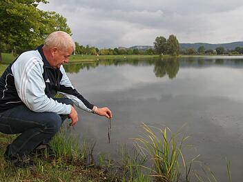Gewässerwart Gerd Suske gibt zu bedenken, dass der pH-Wert im Oberauhof derzeit mit 8,9 - normal sind Werte zwischen 7 und 7,5 - viel zu hoch liegt. Jede kleine weitere Verschlechterung könnte zu einem Fischsterben führen  Foto: Sonja Adam