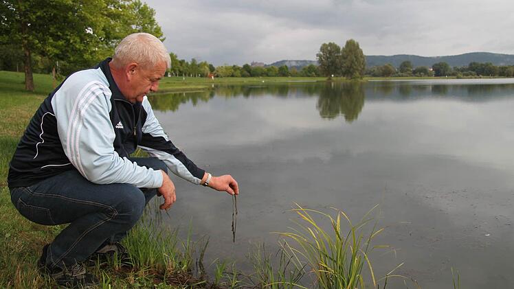 Gewässerwart Gerd Suske gibt zu bedenken, dass der pH-Wert im Oberauhof derzeit mit 8,9 - normal sind Werte zwischen 7 und 7,5 - viel zu hoch liegt. Jede kleine weitere Verschlechterung könnte zu einem Fischsterben führen  Foto: Sonja Adam