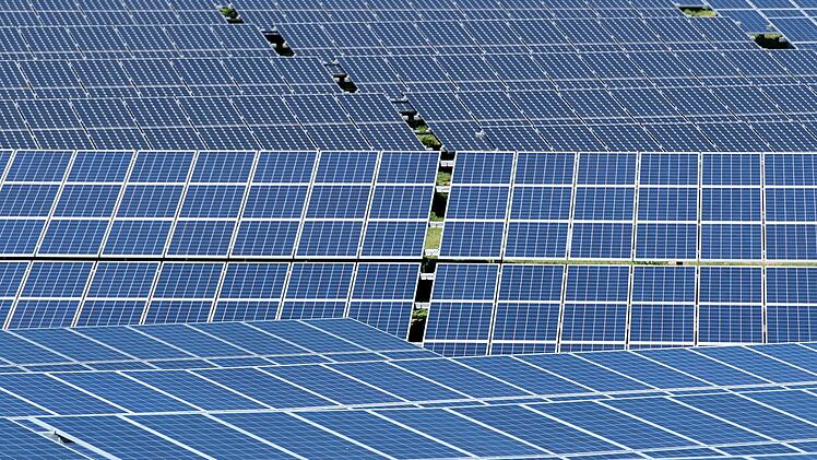 Der Streit um den Solarpark Dörnhof geht weiter. Symboldbild: Sven Hoppe/dpa