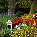 Unkomplizierte Profi-Tipps für die richtige Grabpflege im Frühling und eine pflegeleichte Grabbepflanzung.  Bild: congerdesign/ pixabay.com