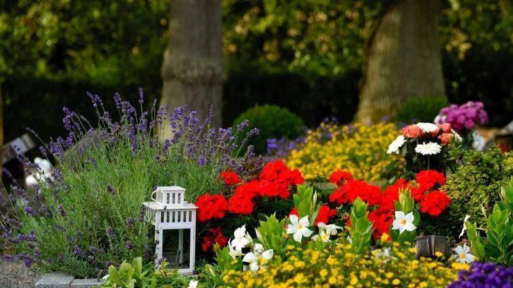 Unkomplizierte Profi-Tipps für die richtige Grabpflege im Frühling und eine pflegeleichte Grabbepflanzung.  Bild: congerdesign/ pixabay.com