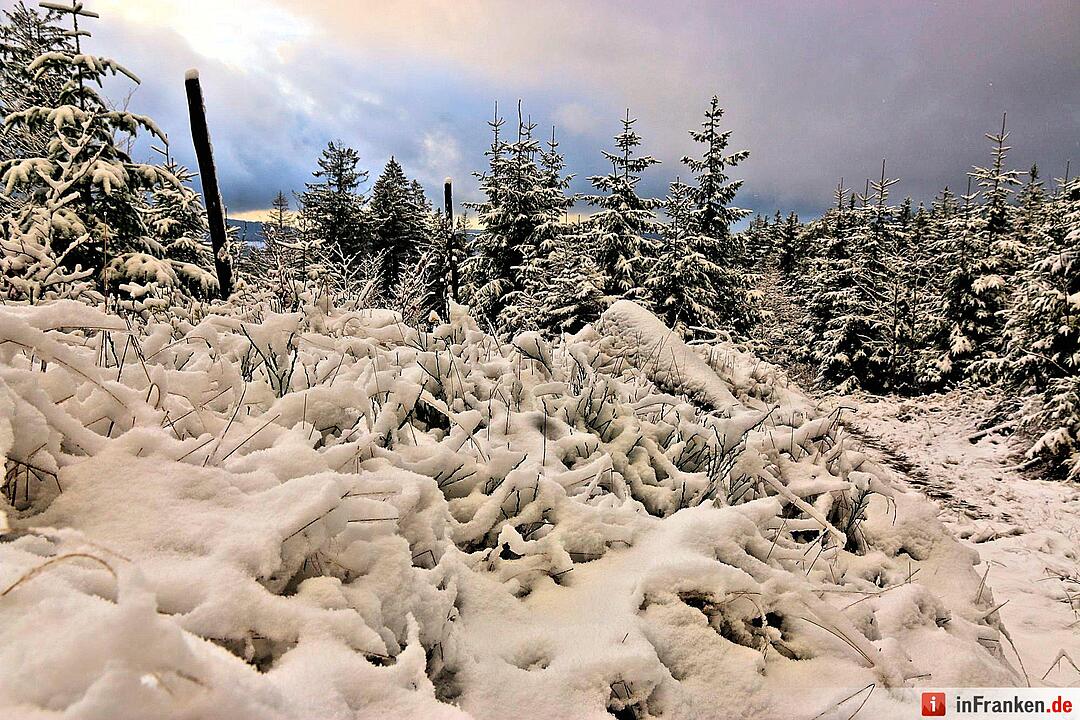 Schnee im Fichtelgebirge