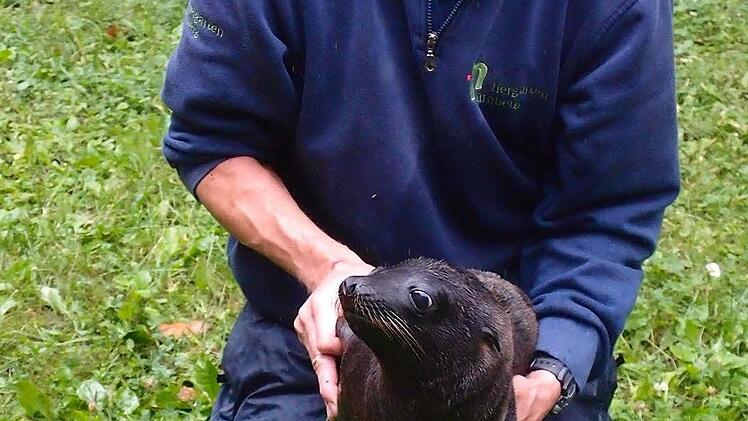 Andreas Fackel mit Mia. Foto: Tiergarten NÜrnberg