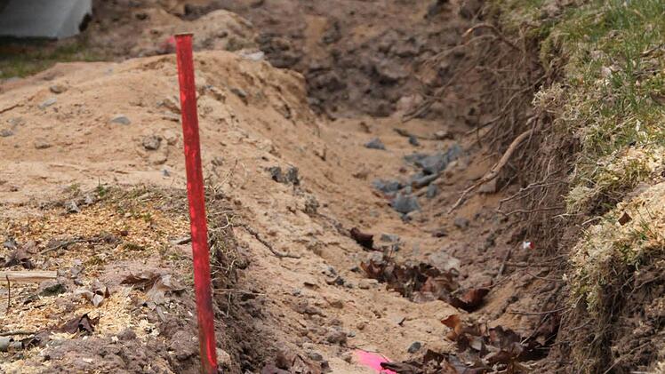 Foto: Ulrike Müller