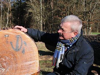 Seit der Gründung der Forstbetriebsgemeinschaft Rhön-Saale 2008 war der Oberthulbaer Bürgermeister Gotthard Schlereth Vorsitzender. Nach der Kommunalwahl stand nun der Wechsel an.  Foto: Archiv/Ralf Ruppert