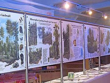 Blick in den Schulungsraum des Umweltzentrums Foto: privat