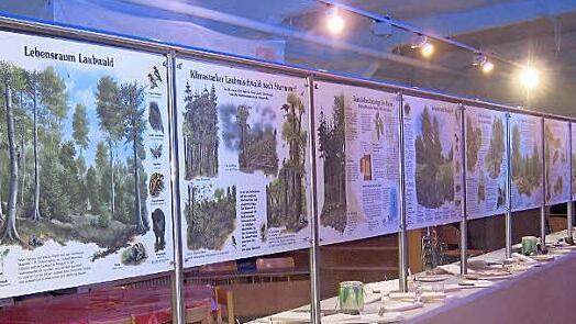 Blick in den Schulungsraum des Umweltzentrums Foto: privat