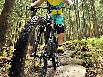 Jägern und Naturschützern sind  Mountainfahrer generell ein Dorn im Auge. Aber es gibt eben auch touristische Interessen.  Patrick Seeger/dpa