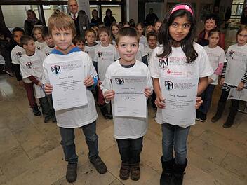 Benjamin Kratz, Christian Bätz und Sonja Narwekar (v. l.) vertreten den Landkreis Erlangen-Höchstadt bei der Endrunde der Mittelfränkischen Mathematik-Meisterschaften in Nürnberg. Foto: Roland Meister