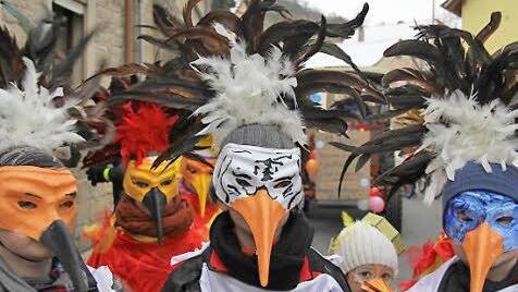 Bunte Vögel