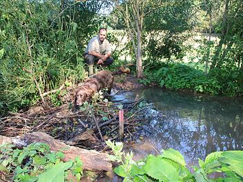 Biber-Berater und Naturschutzwächter Jörg Hagedorn versucht bei Konflikten mit dem Biber zu vermitteln. Auf dem Bild ist er mit Hund Rico am Biber-Damm im Golfplatz zu sehen. Foto: Ralf Ruppert