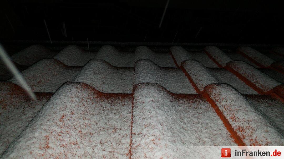 Hirschaid :) Foto: inFrankenPix Moritz Brehm