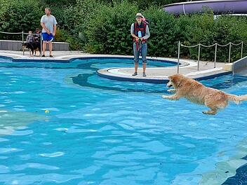 Bamberg: 10. Hundebadetag Bambados