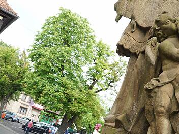 Vom Bürgerspital aus schaut eine Nepomuk-Statue auf den Platz.Fotos: Arkadius Guzy