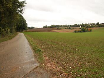 Dieses Areal zwischen  dem Kehlbach (links neben dem Flurbereinigungsweg) und dem Klinikum Obermain (Mitte und rechts oben) wird die Anschlussspange queren. Das Staatliche Bauamt hat bereits damit begonnen, hier neue Lebensräume für Eidechsen anzulegen. Foto: Matthias Einwag
