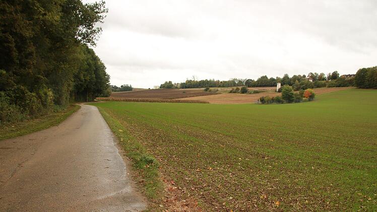 Dieses Areal zwischen  dem Kehlbach (links neben dem Flurbereinigungsweg) und dem Klinikum Obermain (Mitte und rechts oben) wird die Anschlussspange queren. Das Staatliche Bauamt hat bereits damit begonnen, hier neue Lebensräume für Eidechsen anzulegen. Foto: Matthias Einwag