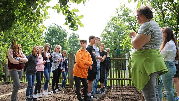 Sojabohnenexperiment der Mainleuser Schüler Foto: Dagmar Besand