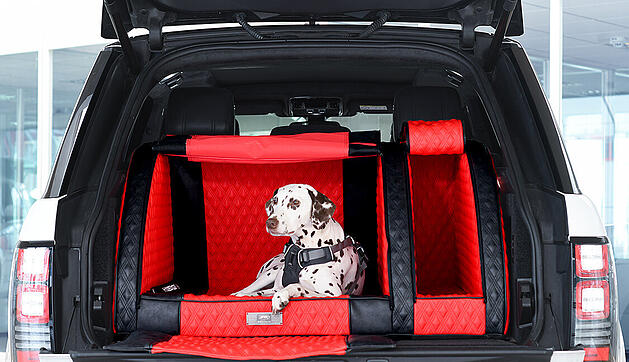 Transportlösungen_Dogstyler