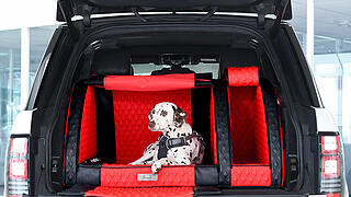 Transportlösungen_Dogstyler