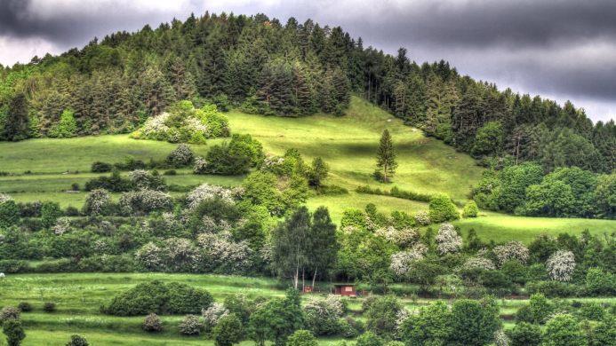 Der Fechheimer Berg in besonderem Licht.Hubert Kluger