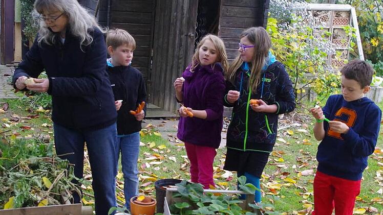 Die Leiterin der AG Schulgarten, Monika Graß, schält für Krista, Lea, Lisa und Danny (von links) leckere Topinambur.