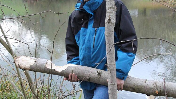 Werner Pilz mit einem durchgenagten Stamm.