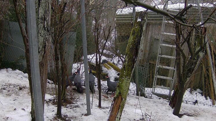 Foto: Petra Malbrich