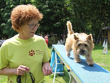 Cairn Terrier Emil findet das Balancieren gar nicht schlimm - Hauptsache Frauchen Uschi Erbacher ist in der Nähe. Fotos: Sonny Adam