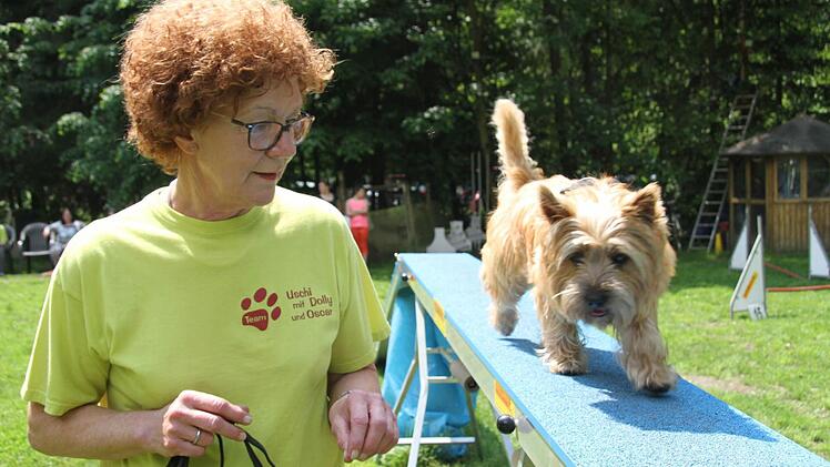 Cairn Terrier Emil findet das Balancieren gar nicht schlimm - Hauptsache Frauchen Uschi Erbacher ist in der Nähe. Fotos: Sonny Adam