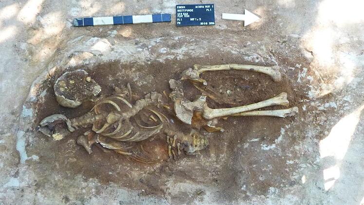 Die Skelettreste von Verurteilten, die um 1200 am Galgenhügel unterhalb des jetzigen Schwimmbadberges hingerichtet wurden. Die Hingerichteten durften nie auf einem geweihten Friedhof bestattet werden. Foto: Landesamt für Denkmalpflege/Schloss Seehof