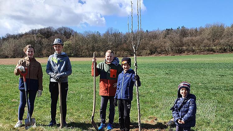 Auch Kinder halfen beim Pflanzen  neuer Birnbäume.