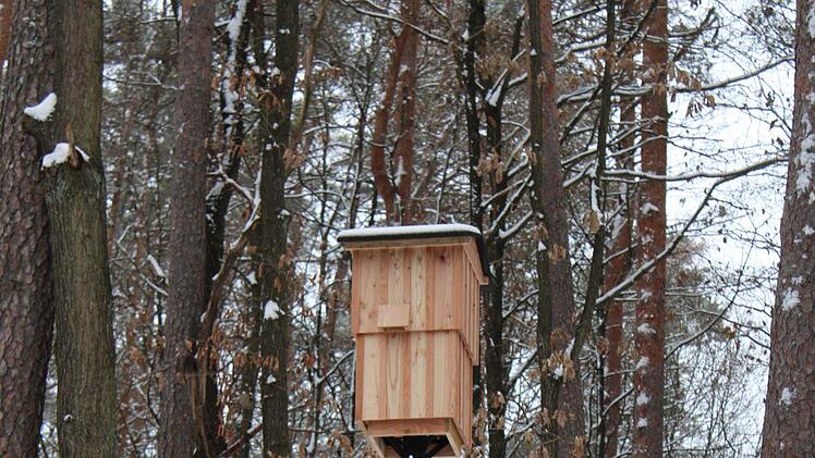 Am Wanderparkplatz am Weingartsteig befindet sich ein weiterer Fledermausturm. Foto: Vera Schiller