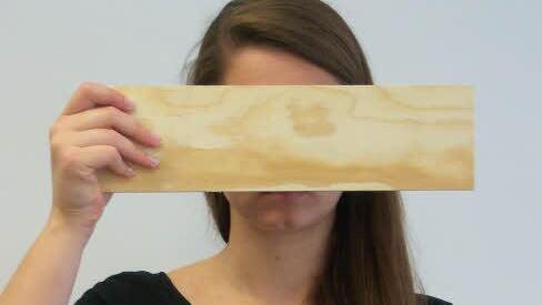 Hinter dem Brett verbirgt sich Emily Depperschmidt. Sie hat ihre Redeangst besiegt. Foto: Vedrana Simunic