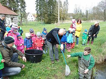 Alle Kinder und Erwachsene beobachten, wie Kilian Schuster die Forellen aus dem Netz lässt. Foto: Petra Malbrich