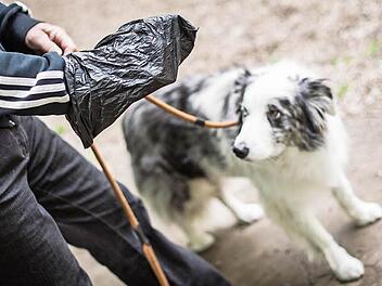 Ärgernis Hundekot: Nicht alle Hundebesitzer halten Tüten bereit, um die Hinterlassenschaften ihres Tiers unterwegs zu beseitigen.  Foto: Maja Hitij, dpa