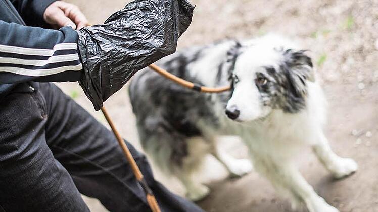 Ärgernis Hundekot: Nicht alle Hundebesitzer halten Tüten bereit, um die Hinterlassenschaften ihres Tiers unterwegs zu beseitigen.  Foto: Maja Hitij, dpa