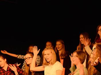 Rund 100 Musiker und Musikerinnen stellten ein abwechslungsreiches Konzert in der Aula es Johann-Philipp-von-Schönborn-Gymnasiums auf die Beine. Fotos: Gymnasium