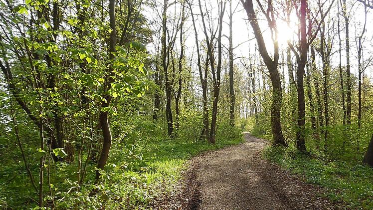 Herrliche Wanderwege
