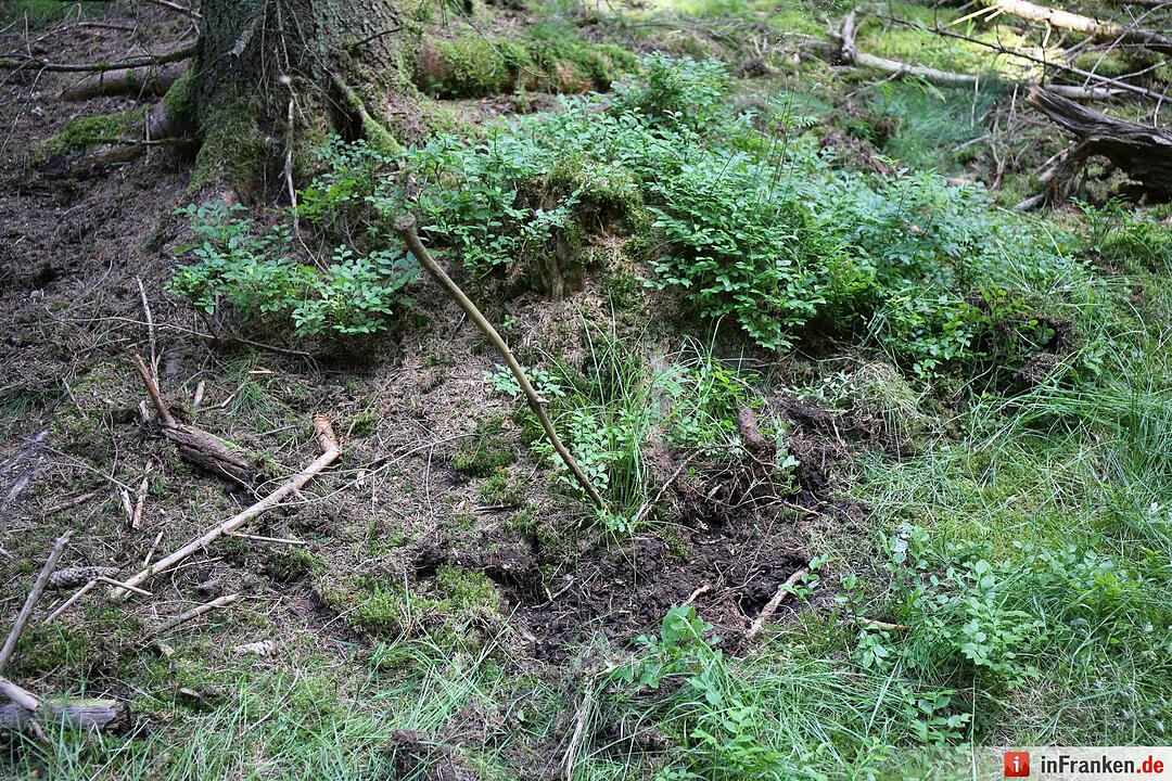 Fundort von Peggys Leiche