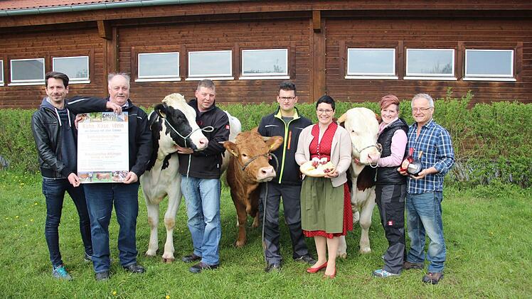 Auf die Bundesgelbviehschau und die Kitzinger Kreistierschau freuen sich Claus Schmiedel (Amt für Landwirtschaft, Ernährung und Forsten Kitzingen), Landwirt Hans Haubenreich, Eberhard Schnaz mit dem Holstein-Rind Stern, Johannes Weigand mit Frankenvieh-Dame Hilde, Landwirtin Christine Löb, Jessica Weigand mit dem Fleckvieh-Bullen Egon und Wolfgang Wanner vom Rinderzuchtverband Franken.