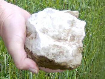 Das ist der Stein, der über mehrere hundert Meter weit in ein Getreidefeld flog. Foto: Petra Malbrich