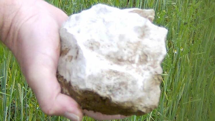 Das ist der Stein, der über mehrere hundert Meter weit in ein Getreidefeld flog. Foto: Petra Malbrich